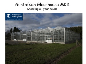 Gustafen Glasshouse