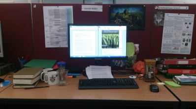 my desk - messy already